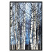 Poster Frosty January - winter forest landscape of light trees against sky 124477 additionalThumb 24