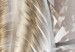 Wall Poster Fallen Angel - abstract composition of white feathers with golden accent 127877 additionalThumb 10