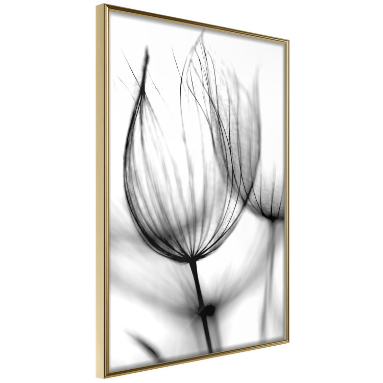 Poster Dandelion in the Wind - black dandelion flower on a contrasting background 129777 additionalImage 12