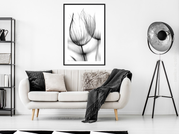 Poster Dandelion in the Wind - black dandelion flower on a contrasting background 129777 additionalImage 18