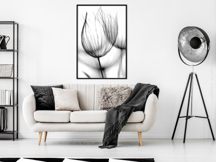 Poster Dandelion in the Wind - black dandelion flower on a contrasting background 129777 additionalImage 4