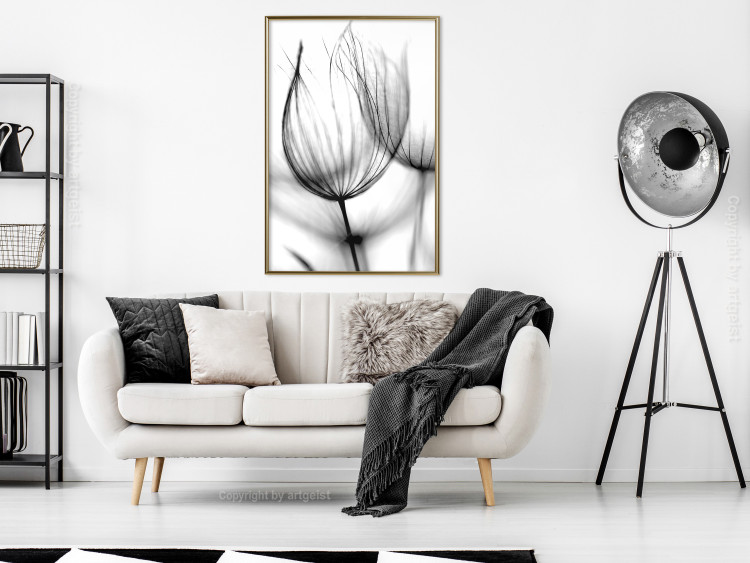 Poster Dandelion in the Wind - black dandelion flower on a contrasting background 129777 additionalImage 5