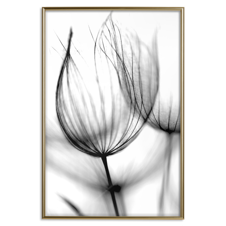 Poster Dandelion in the Wind - black dandelion flower on a contrasting background 129777 additionalImage 17