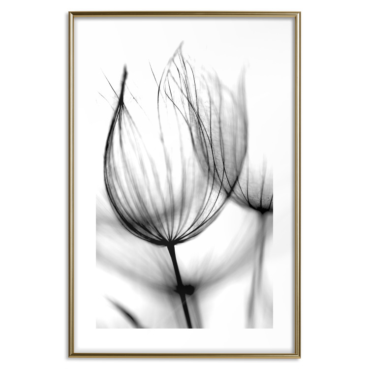 Poster Dandelion in the Wind - black dandelion flower on a contrasting background 129777 additionalImage 14