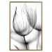 Poster Dandelion in the Wind - black dandelion flower on a contrasting background 129777 additionalThumb 17