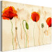 Large canvas print Tears of Poppies [Large Format] 132377 additionalThumb 3