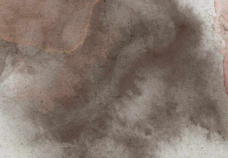 Canvas Print Rust-gray stains - Abstraction in Boho style on a gray background 135977 additionalImage 5
