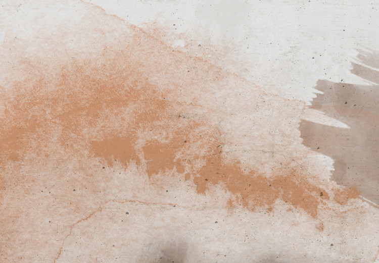 Canvas Print Rust-gray stains - Abstraction in Boho style on a gray background 135977 additionalImage 4