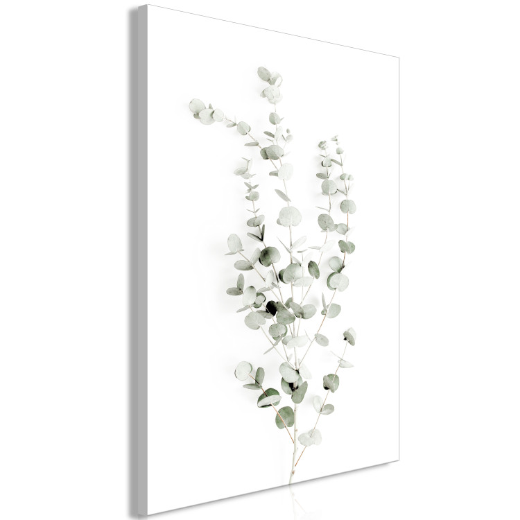Canvas Eucalyptus Caesia (1-piece) Vertical - landscape of plants in boho style 137477 additionalImage 2
