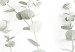 Canvas Eucalyptus Caesia (1-piece) Vertical - landscape of plants in boho style 137477 additionalThumb 4