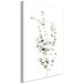 Canvas Eucalyptus Caesia (1-piece) Vertical - landscape of plants in boho style 137477 additionalThumb 2