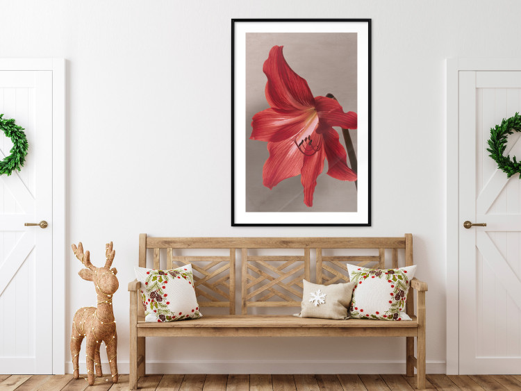 Wall Poster Red Flower - vibrant colorful flower on a contrasting background 137977 additionalImage 13