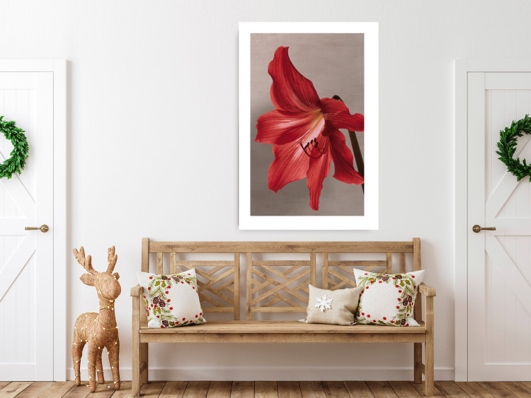 Wall Poster Red Flower - vibrant colorful flower on a contrasting background 137977 additionalImage 2
