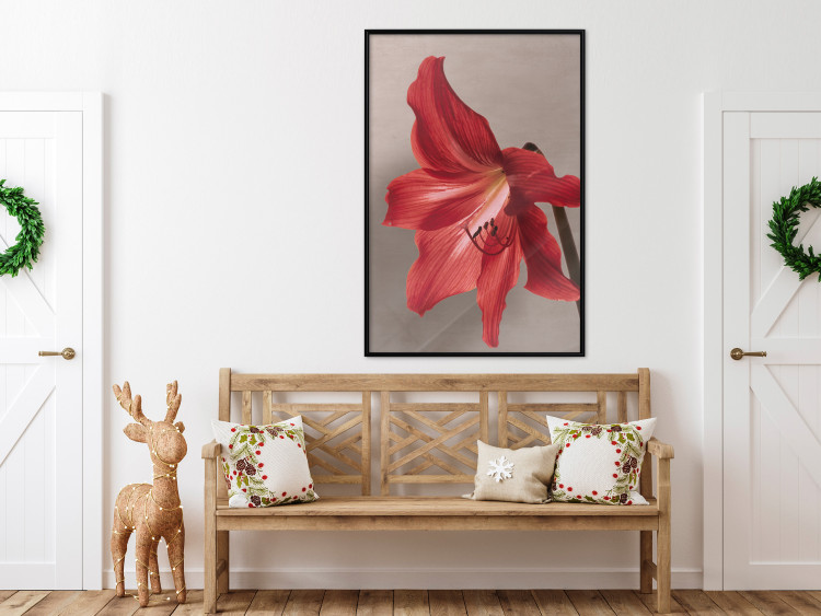 Wall Poster Red Flower - vibrant colorful flower on a contrasting background 137977 additionalImage 22