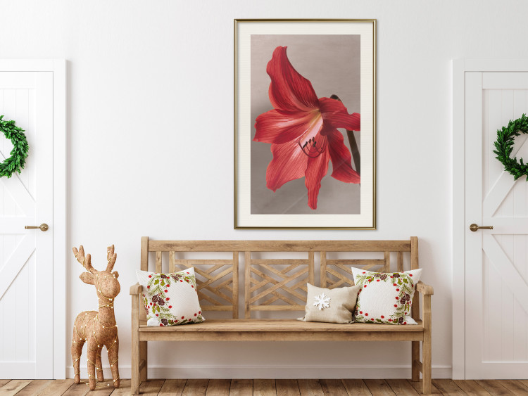 Wall Poster Red Flower - vibrant colorful flower on a contrasting background 137977 additionalImage 17