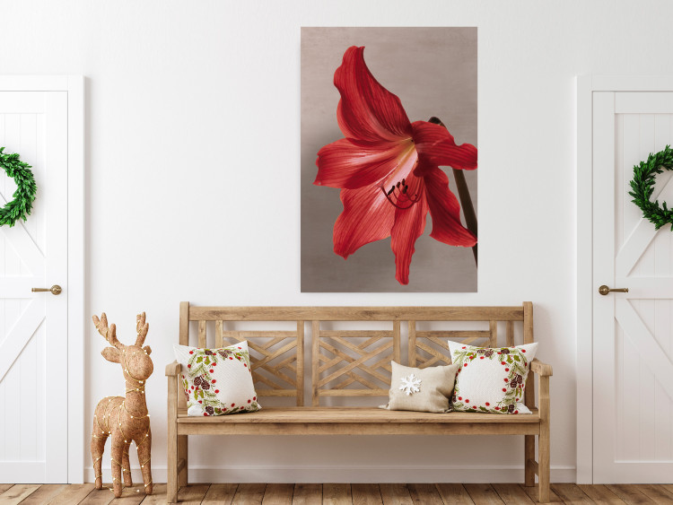 Wall Poster Red Flower - vibrant colorful flower on a contrasting background 137977 additionalImage 15
