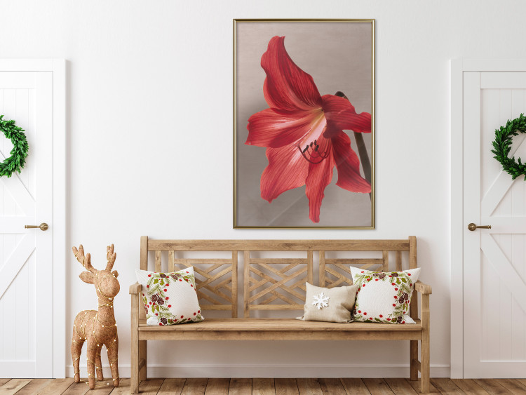 Wall Poster Red Flower - vibrant colorful flower on a contrasting background 137977 additionalImage 21