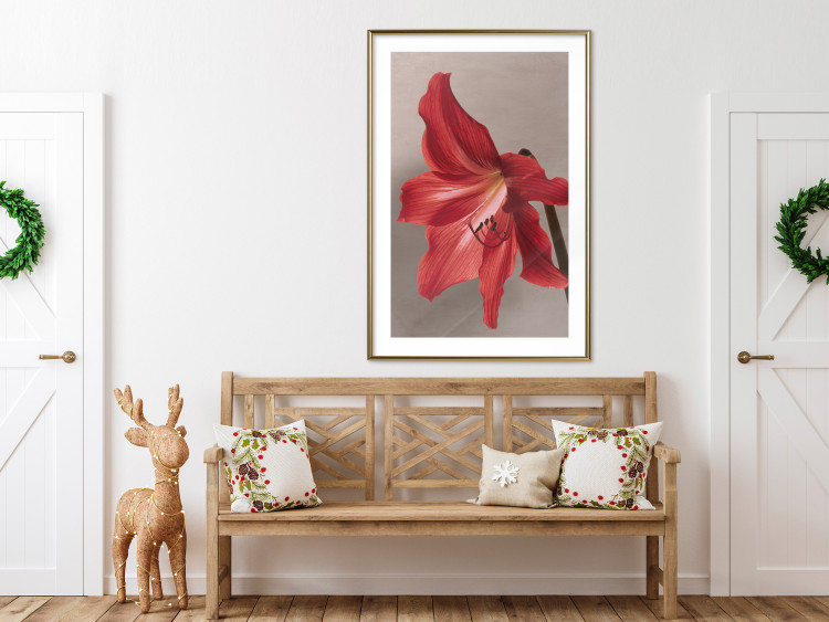 Wall Poster Red Flower - vibrant colorful flower on a contrasting background 137977 additionalImage 19