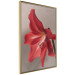 Wall Poster Red Flower - vibrant colorful flower on a contrasting background 137977 additionalThumb 20