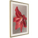 Wall Poster Red Flower - vibrant colorful flower on a contrasting background 137977 additionalThumb 4