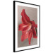 Wall Poster Red Flower - vibrant colorful flower on a contrasting background 137977 additionalThumb 6