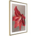 Wall Poster Red Flower - vibrant colorful flower on a contrasting background 137977 additionalThumb 3