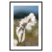 Poster Subtlety of Nature - majestic composition of a plant against a blurred background 138777 additionalThumb 20