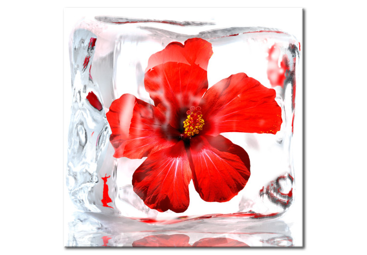 Canvas Print Frozen flower 58777