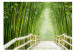 Photo Wallpaper Tranquility of Nature - fantasy of a Chinese bridge among green bamboos 59777 additionalThumb 1