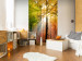 Wall Mural Autumn Forest - Sunny Forest Landscape with Trees and Colourful Leaves 60277