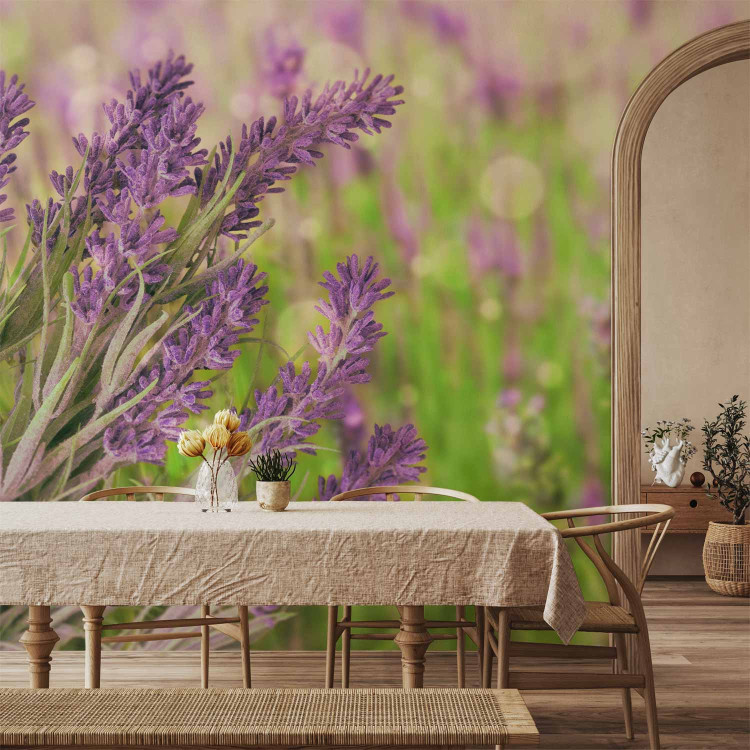 Photo Wallpaper Lavender Gardens - Bright Meadow Landscape with a Close-up of Lavender Flowers 60477 additionalImage 6
