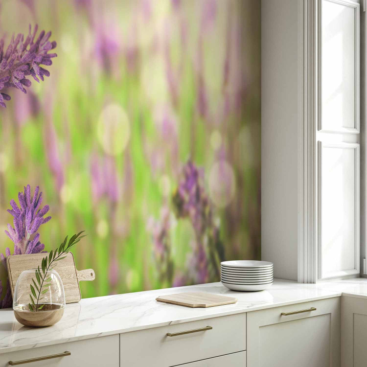 Photo Wallpaper Lavender Gardens - Bright Meadow Landscape with a Close-up of Lavender Flowers 60477 additionalImage 7