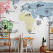 Wall Mural World map - outline of continents with coloured patterns on a white background 97077 additionalThumb 4