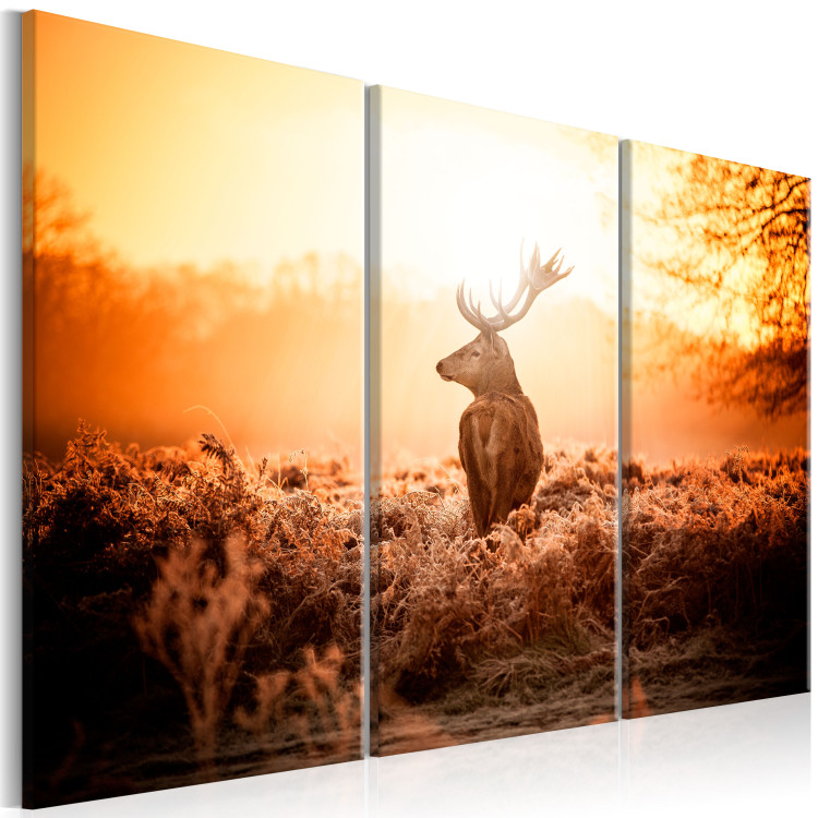 Canvas Stag in the Sun (3-piece) - Lone Deer against Scenic Field 105787 additionalImage 2