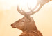 Canvas Stag in the Sun (3-piece) - Lone Deer against Scenic Field 105787 additionalThumb 5