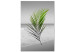 Canvas Print Green Palm Branch (1 Part) Vertical 114087