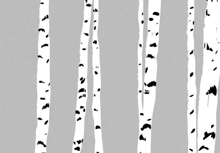 Canvas Black and White Birch Forest (1-part) - Landscape of Trees in Gray Background 115087 additionalImage 5