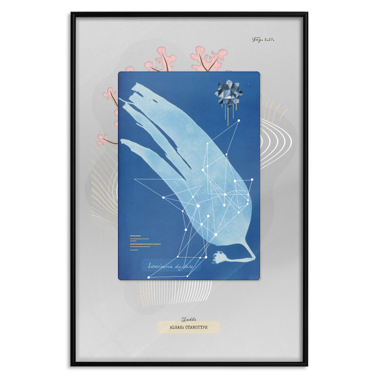Wall Poster Algae - blue abstraction with a plant motif and texts on gray 116887 additionalImage 18