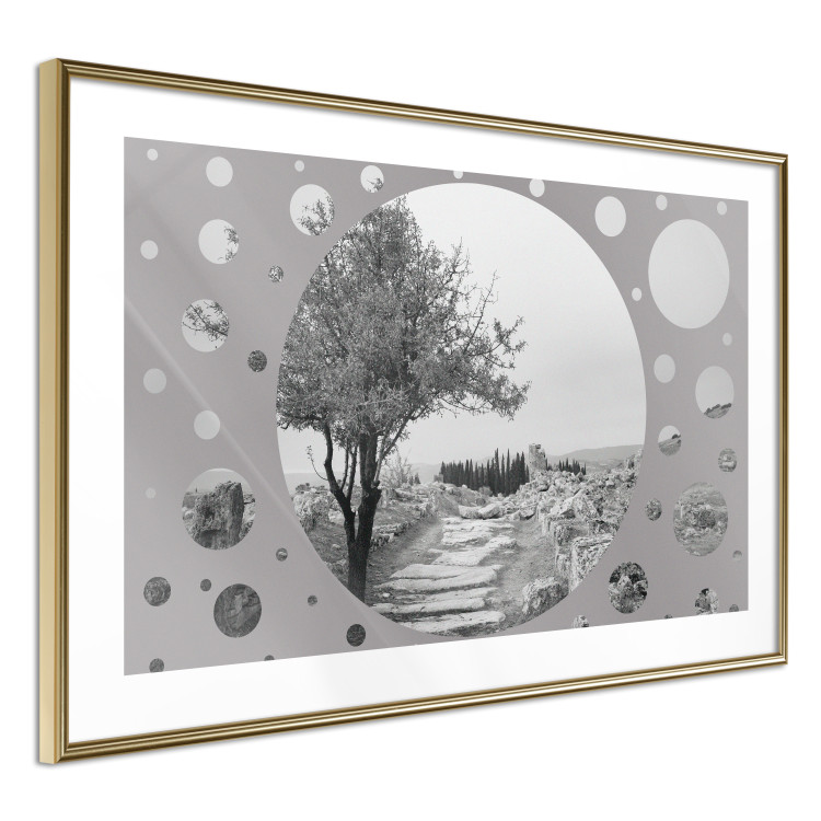 Wall Poster Hierapolis - black and white landscape of trees in circular frame 123987 additionalImage 8