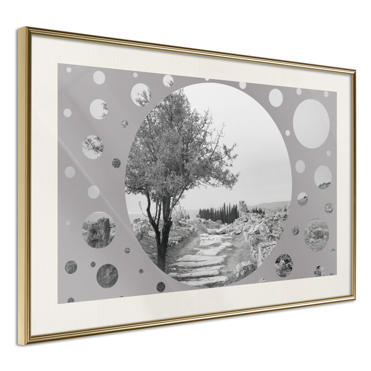 Wall Poster Hierapolis - black and white landscape of trees in circular frame 123987 additionalImage 2