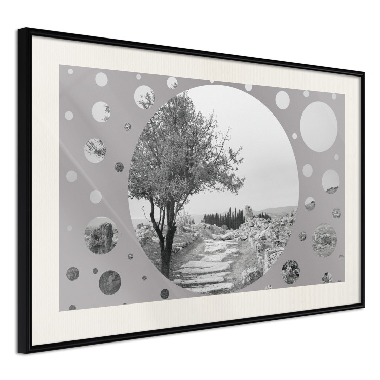 Wall Poster Hierapolis - black and white landscape of trees in circular frame 123987 additionalImage 3