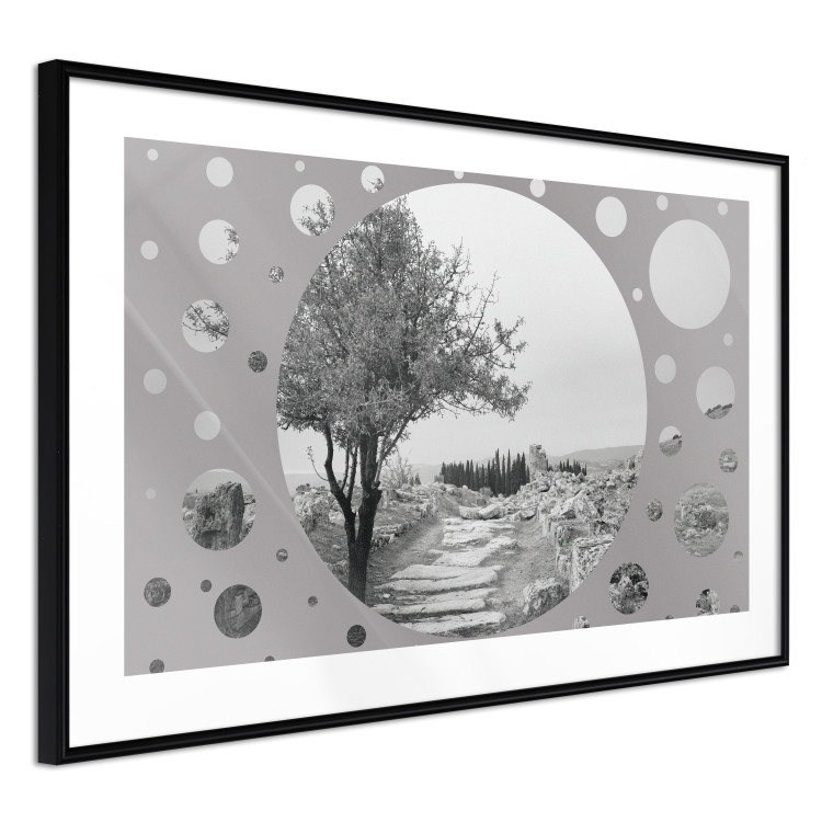 Wall Poster Hierapolis - black and white landscape of trees in circular frame 123987 additionalImage 13