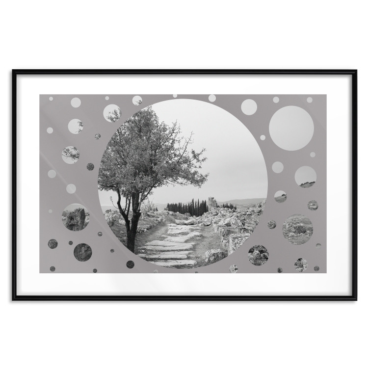 Wall Poster Hierapolis - black and white landscape of trees in circular frame 123987 additionalImage 15