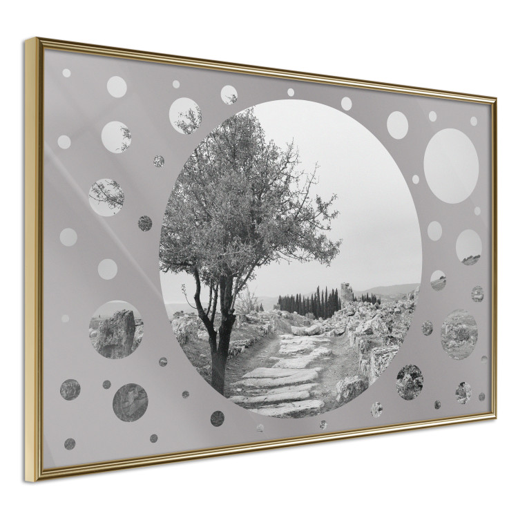 Wall Poster Hierapolis - black and white landscape of trees in circular frame 123987 additionalImage 12
