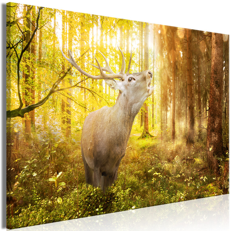 Large canvas print Roar in the Forest [Large Format] 128687 additionalImage 3