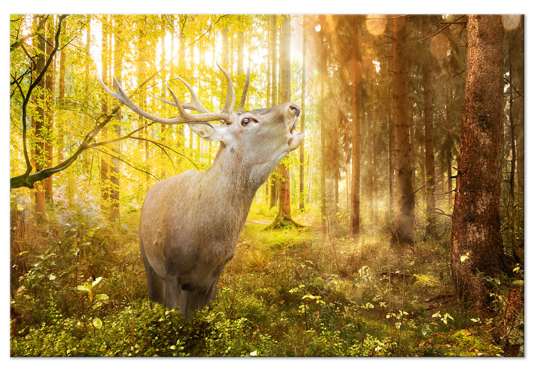 Large canvas print Roar in the Forest [Large Format] 128687