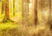Large canvas print Roar in the Forest [Large Format] 128687 additionalThumb 4