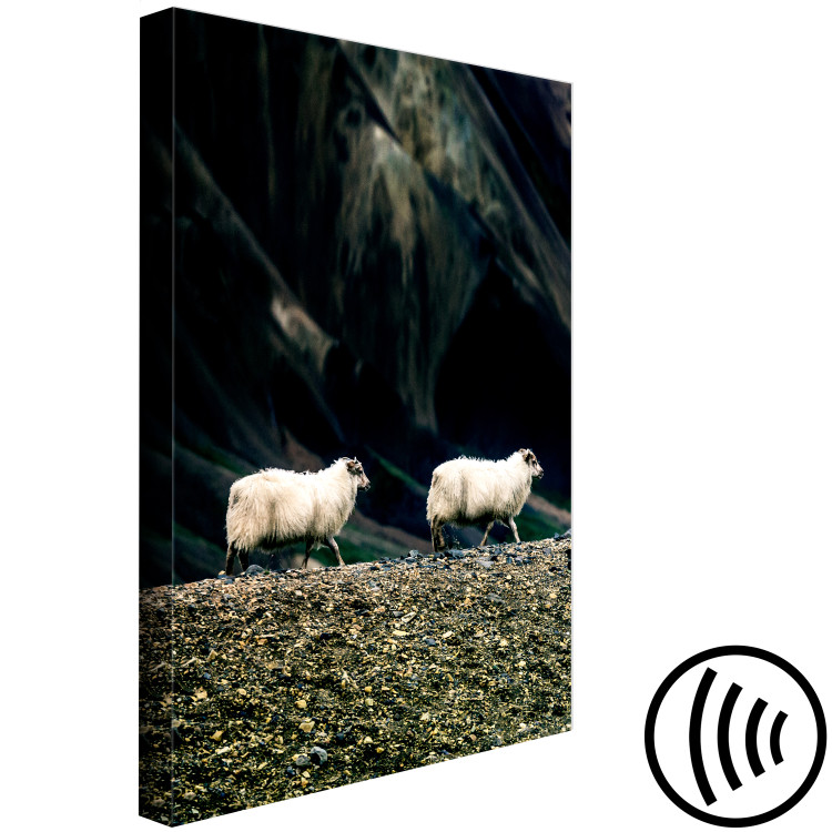 Canvas Art Print Follow Me! (1-piece) Vertical - photograph of two white animals 130287 additionalImage 6