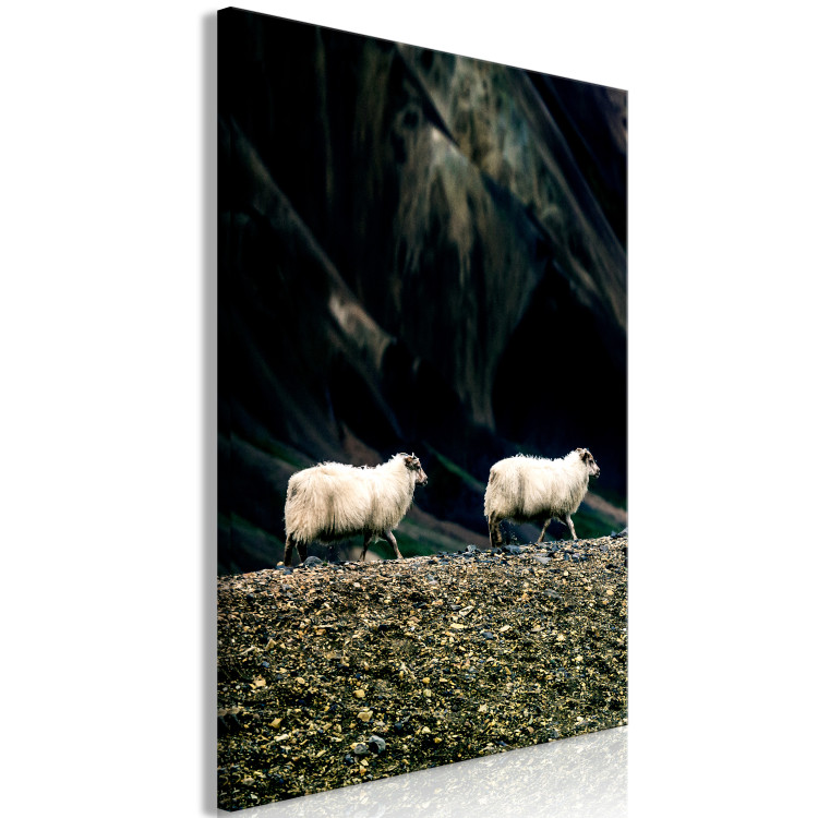 Canvas Art Print Follow Me! (1-piece) Vertical - photograph of two white animals 130287 additionalImage 2