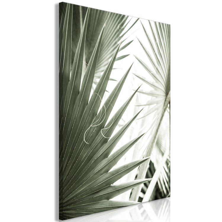Canvas Art Print Plant needles - image of sharp exotic plants in cold green 135287 additionalImage 2